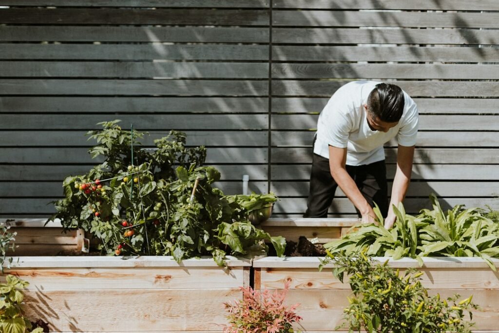 Workaway | Cultural Volunteering Exchange